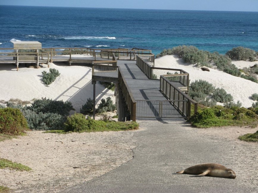 Australia and Fiji (PER-ADL-KGC-SYD-AYQ-MEL-FIJI) — 18